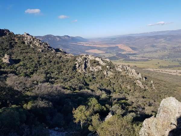 Monterías en Ciudad Real: tradición y naturaleza 